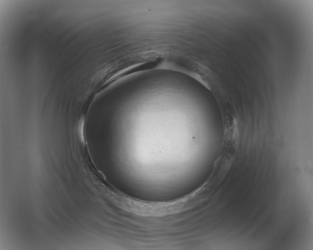 X0000062890047200601131346