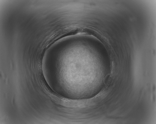 X0000062890048200601131346