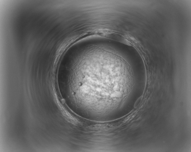 X0000062890049200601131345