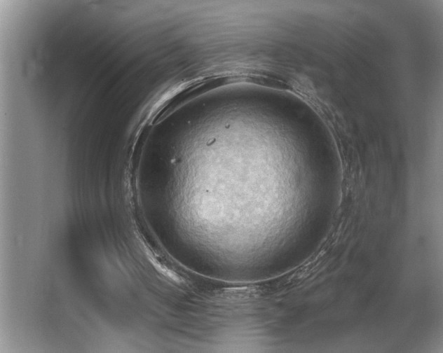 X0000062890050200601131345