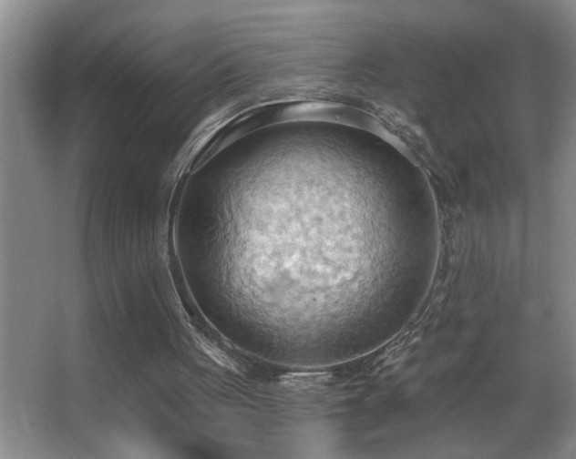 X0000062890051200601131345