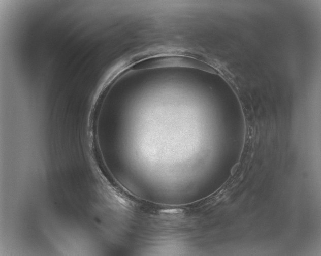 X0000062890053200601131345