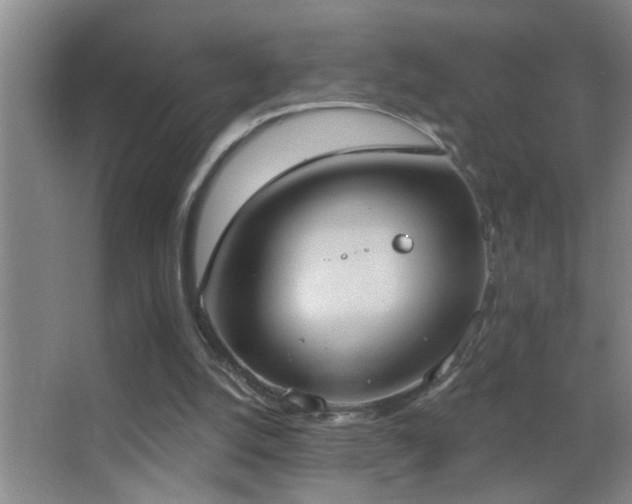 X0000062890056200601131345