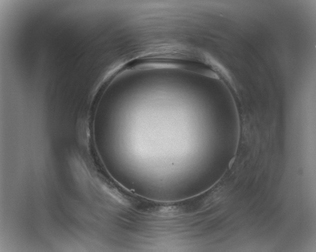 X0000062890059200601131345