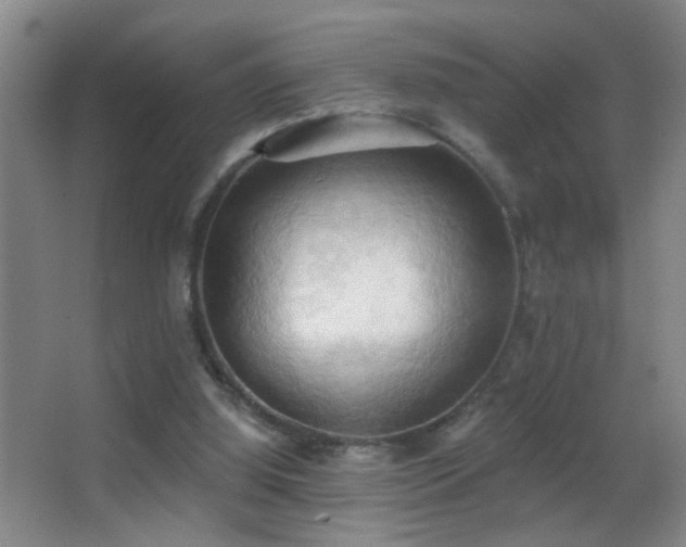 X0000062890060200601131345