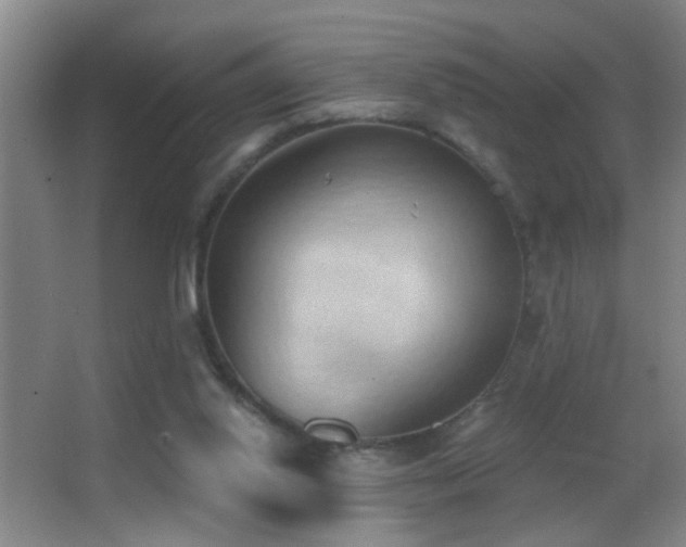 X0000062890062200601131345