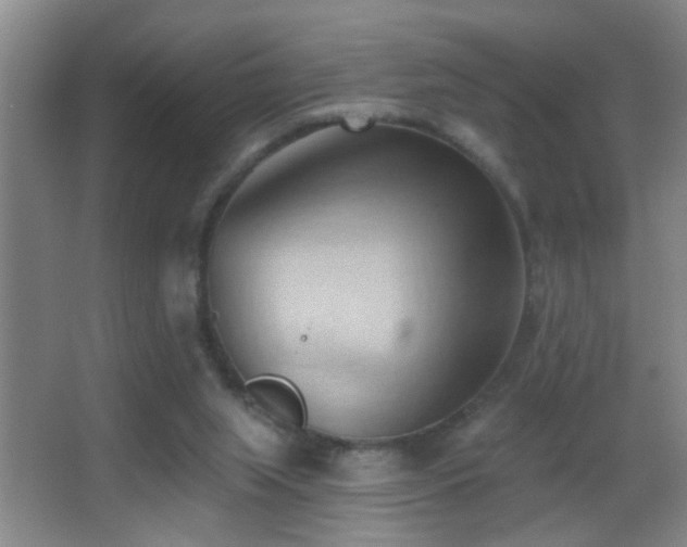 X0000062890063200601131345