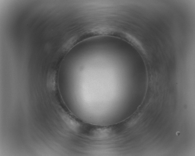 X0000062890065200601131345