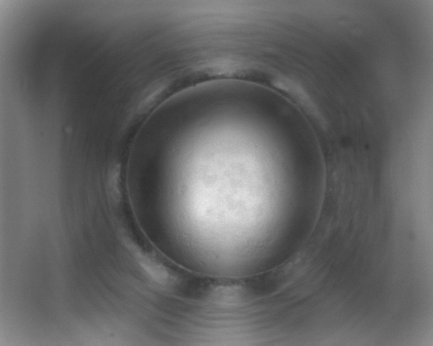 X0000062890066200601131345