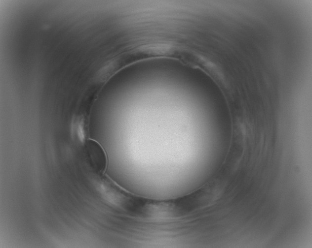 X0000062890069200601131345