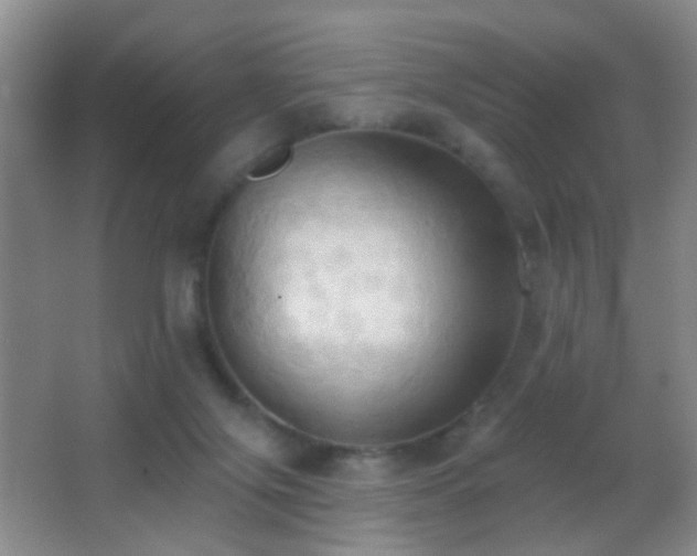 X0000062890071200601131345