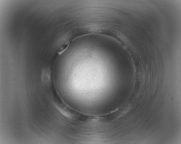 X0000062890072200601131345