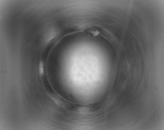 X0000062890075200601131345