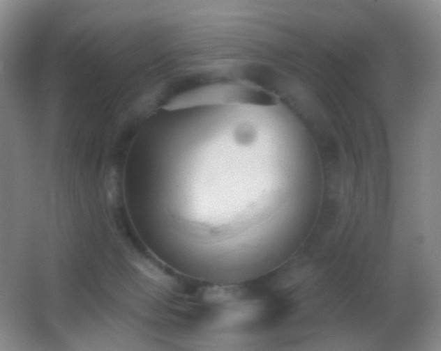 X0000062890077200601131345