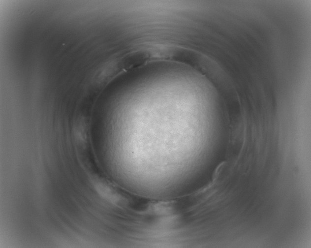 X0000062890078200601131345