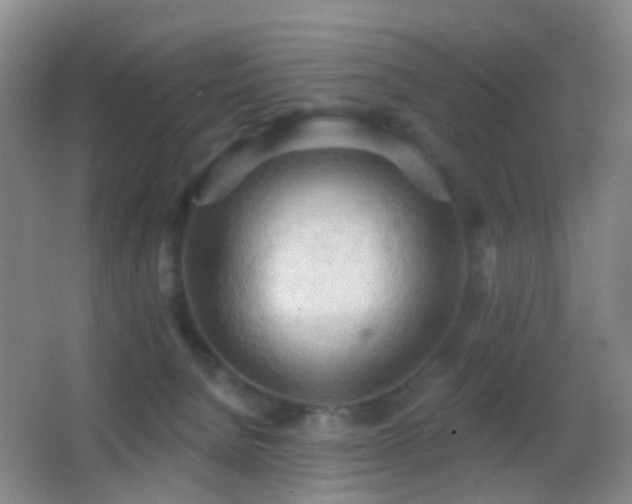 X0000062890080200601131345