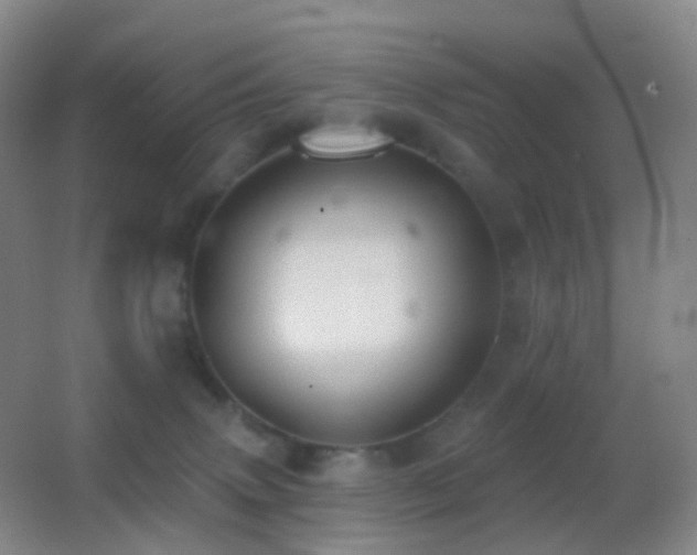 X0000062890083200601131345