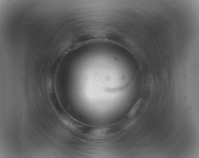 X0000062890084200601131345