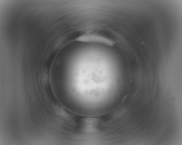 X0000062890085200601131345