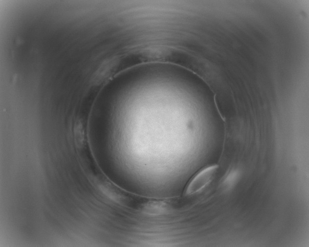 X0000062890086200601131345