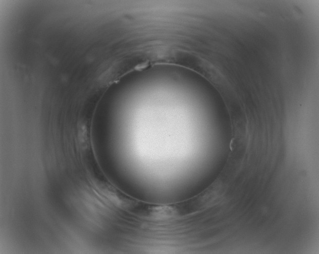 X0000062890087200601131345