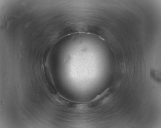 X0000062890088200601131345