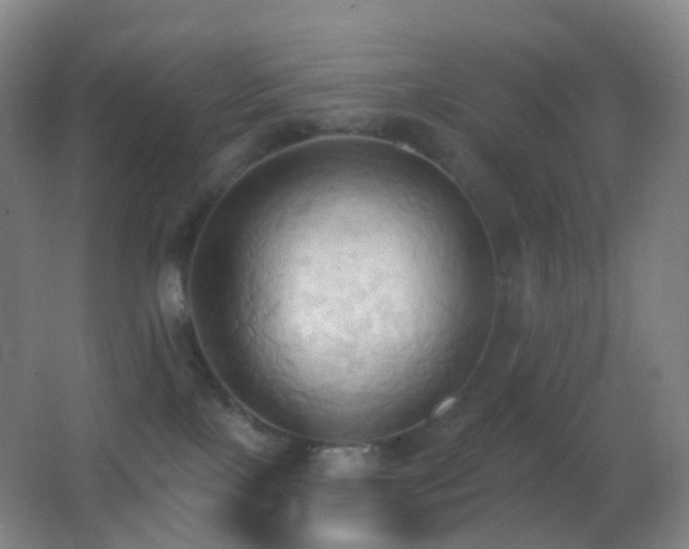 X0000062890089200601131345