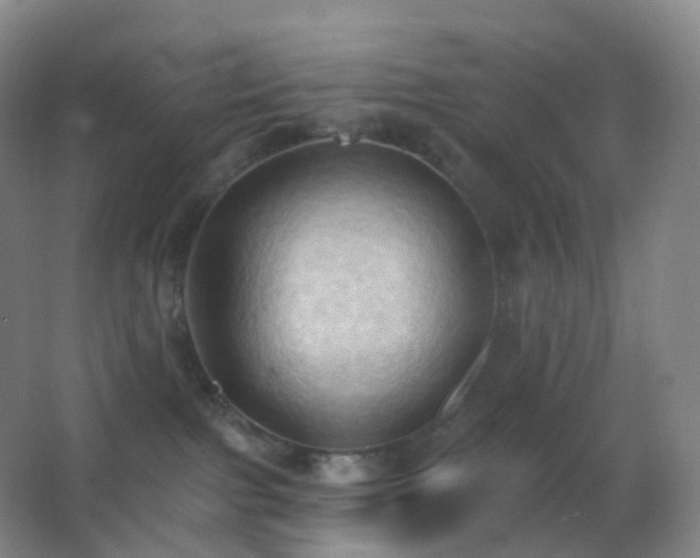 X0000062890091200601131345