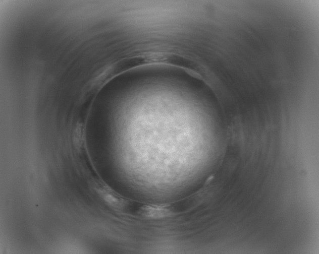 X0000062890093200601131346