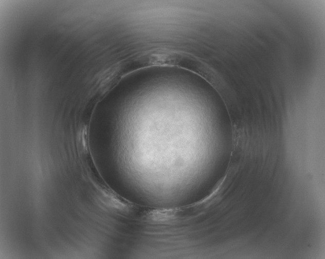 X0000062890094200601131346