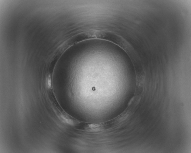 X0000062890095200601131346