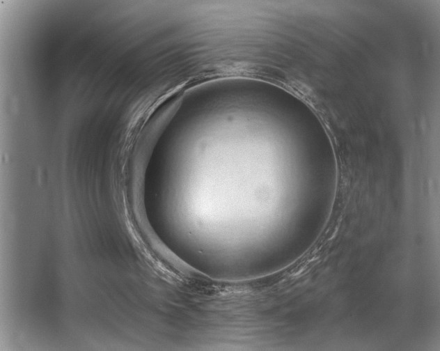 X0000062890097200601131345