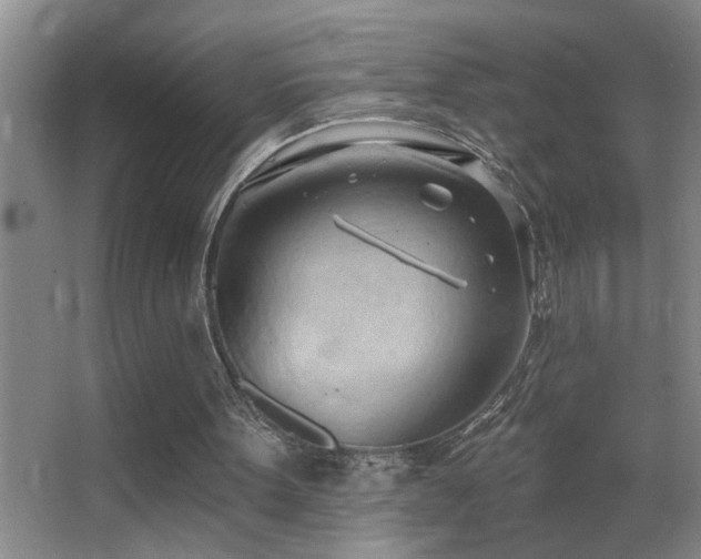 X0000062890099200601131345