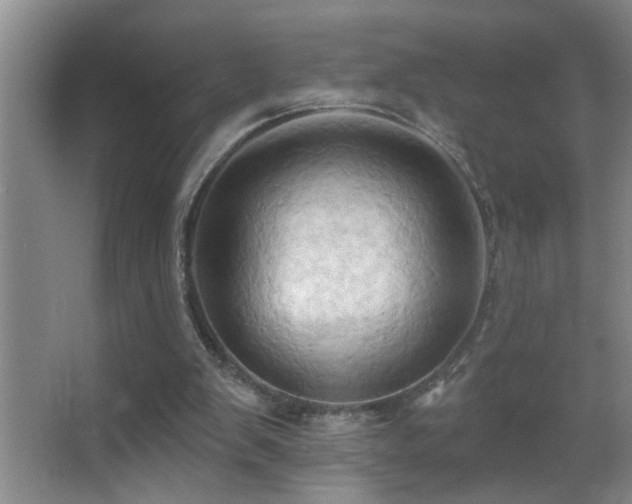 X0000062890103200601131345