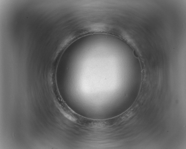 X0000062890106200601131345