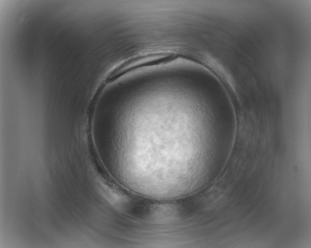 X0000062890107200601131345