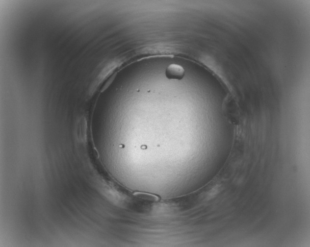 X0000062890109200601131345