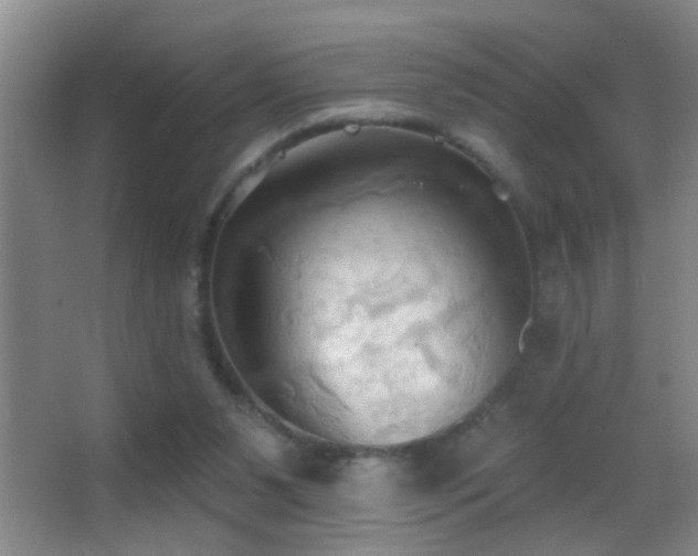 X0000062890111200601131345