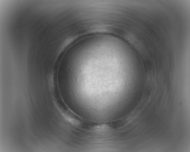 X0000062890112200601131344