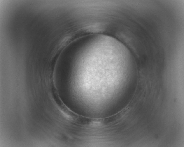 X0000062890114200601131344