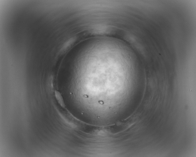 X0000062890115200601131344