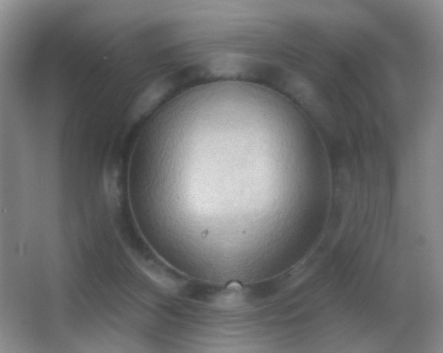 X0000062890116200601131344