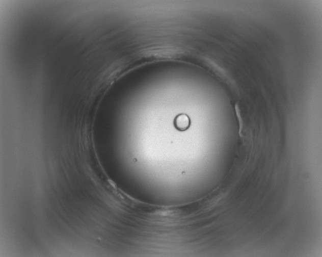 X0000062890117200601131344