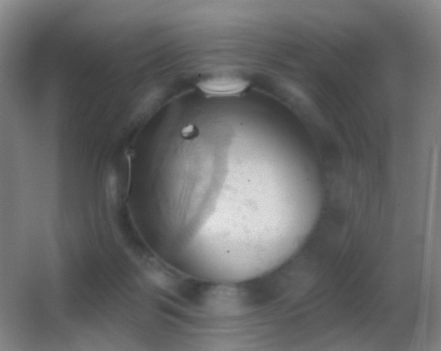 X0000062890123200601131344