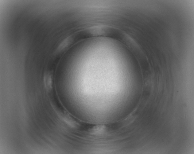 X0000062890124200601131344