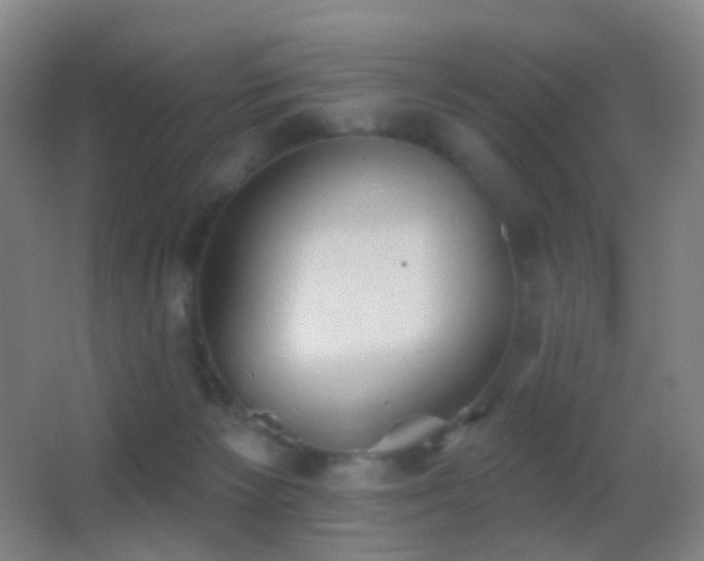 X0000062890125200601131344