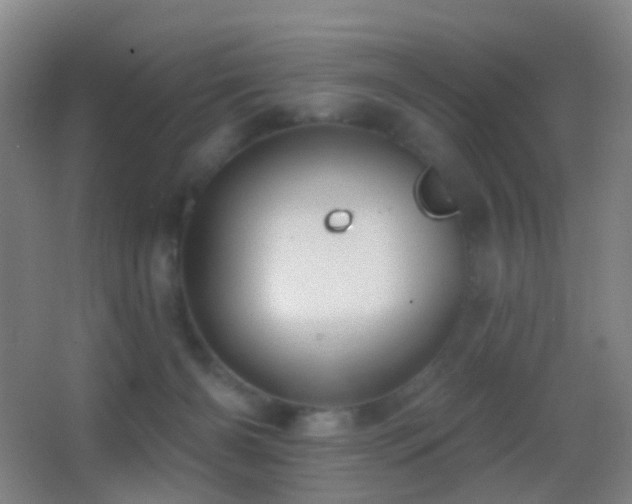 X0000062890126200601131344