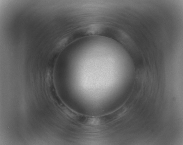 X0000062890127200601131344