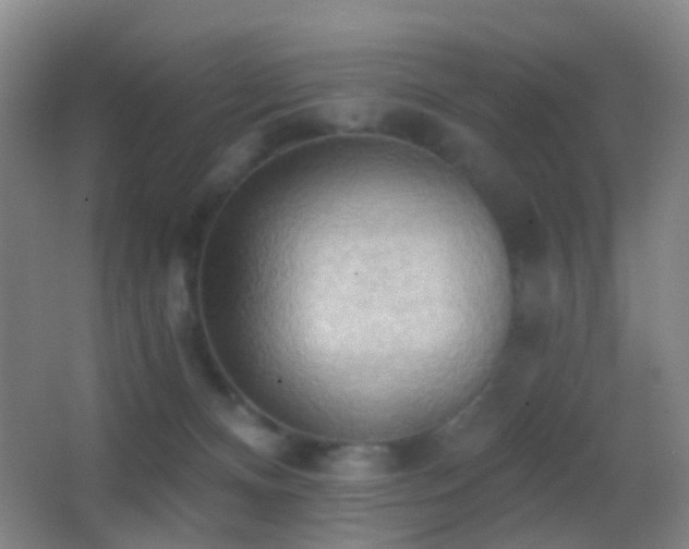 X0000062890128200601131344