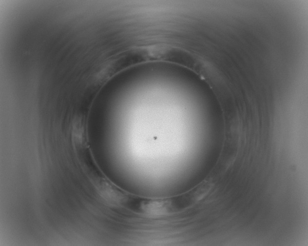 X0000062890129200601131344